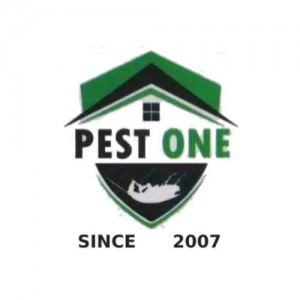 Pest Control Company in Udaipur