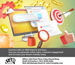 Seospidy makes Result Oriented Seo Plan To Improve Your Website Ranking 