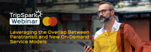 Leveraging the Overlap Between Paratransit and New On-Demand Service Models