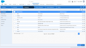 Dextara CPQ_Attributes