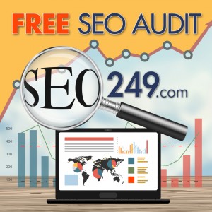 Free SEO Audit 1080x1080 002