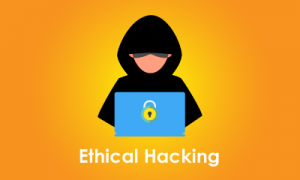 ethical hacking training