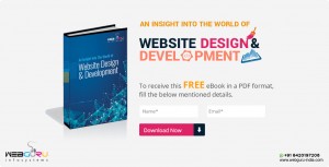 Launch Of An Ebook On Website Design & Development