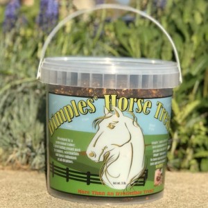 Dimples Horse Treats for Horses