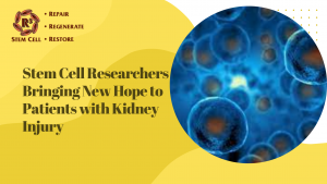 Stem Cell Researchers Bringing New Hope to Patients with Kidney Injury