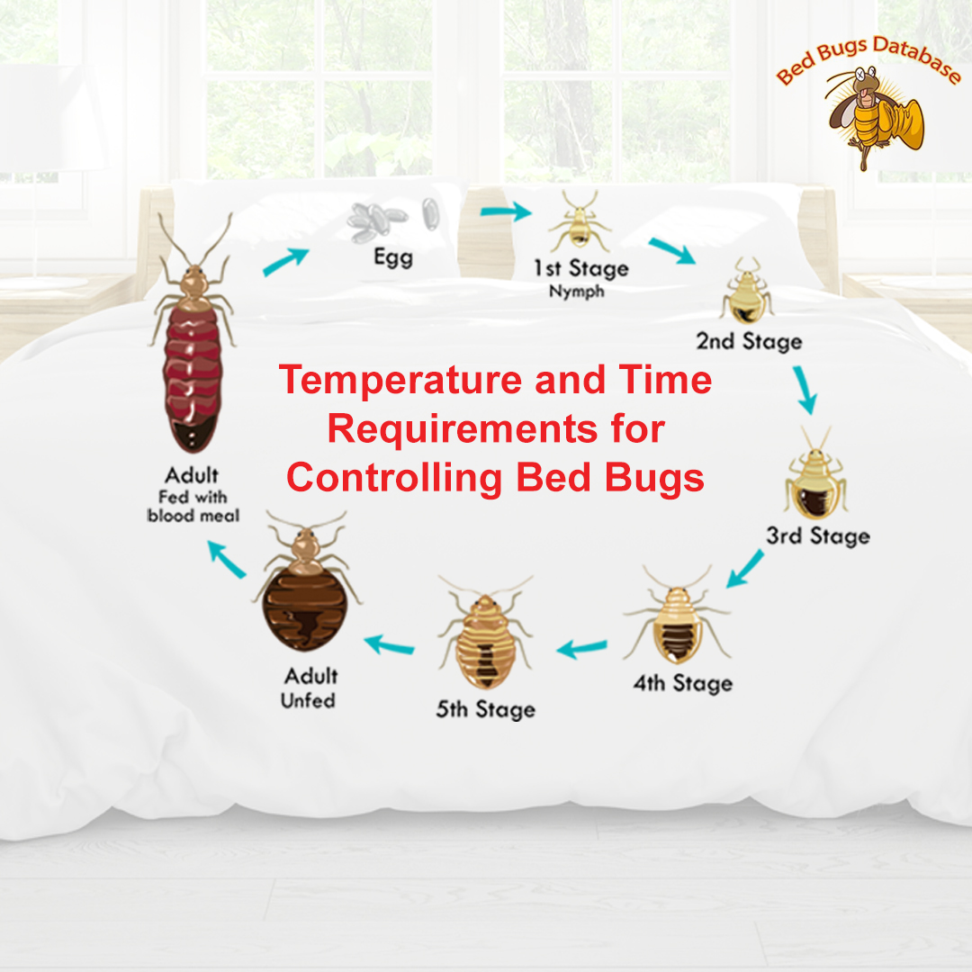 Bed bug exterminators This is Thermokill IssueWire