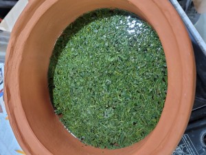 Making teas and decoctions in Miriams nontoxic pot