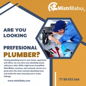 Professional Plumbing Services