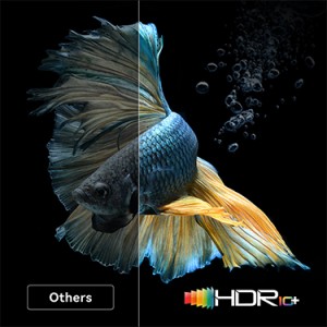 What are the differences between Dangbei X3 and Dangbei Mars Pro ?