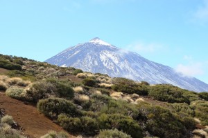 Entheogenic plant retreats in tenerife and spain