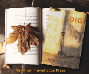 DIG by Robert Paul Moreira published by Frayed Edge Press
