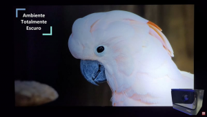 Dangbei Mars Pro 4K Laser Image Quality