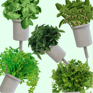 The system, made from bio-plastics, comes with a complimentary set of 5 plant pods of your choice