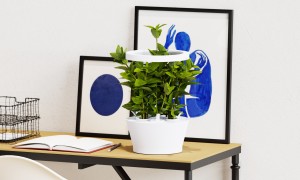 Vitæ aims to reinvent urban agriculture, and is launching an IndieGogo campaign on 31st October 202