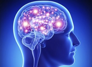 Christine M. Rankin, PhD, Clinical Psychologist with Dr. Chris’s Kids’ Corner