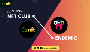 AURORA NFT CLUB | ENDEMIC NFT MARKETPLACE