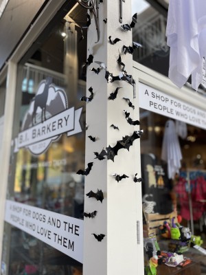 Bainbridge Downtown Association