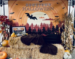 Welcome to Bainbridge Island