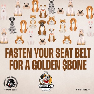 photo 2022 10 31 19 31 27