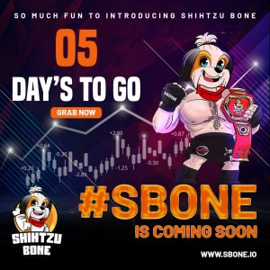 photo 2022 10 31 19 31 49