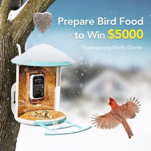 #Birdfydinner - Thanksgiving Dinner Competition