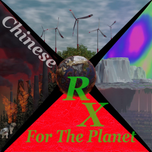 The Climate Change Song in 40 Languages  In Celebration of The Annual United Nations COP Gatherings