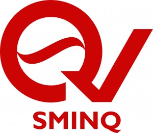 SMINQ: How we are helping to build a comprehensible communication between doctors and patients?