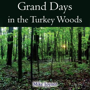 gdittw audiobook cvr