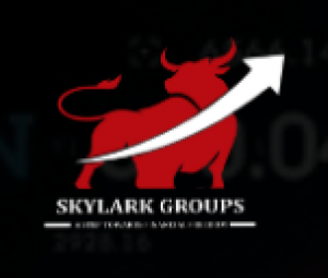 Choose the Best Share Market Broker for the Best Decision 