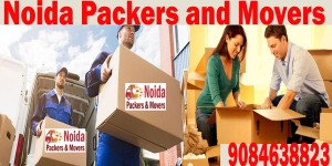 Best Quality Packing Materials