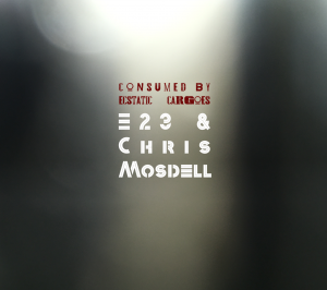 Consumed By Ecstatic Cargoes - album cover