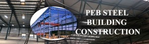 Peb steel building in chennai