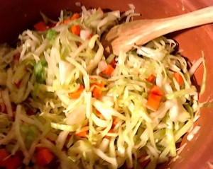 Fermenting in MEC