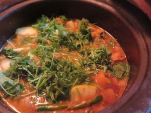 Vegetable soup with potato and cilantro in MEC