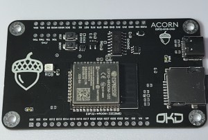 OKD Acorn ESP32 Development Board