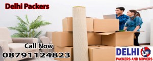 delhi packers