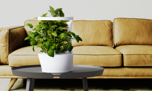 Reaching its funding goal was only the start for Vitæ, who aims to further develop its offering