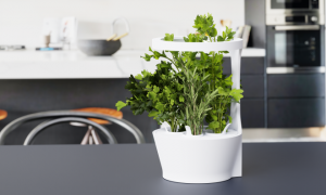 Vitæ hit its crowdfunding target for its innovative indoor garden in just 48 hours on IndieGogo