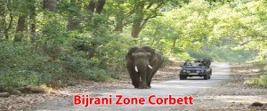 Bijrani Zone Corbett