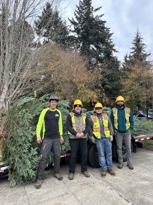 Festive Nights and Holiday Lights 