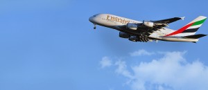 Canada to india flights