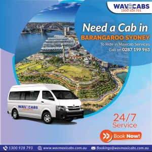 Wavmaxi BARANGAROO 01