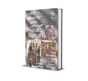 GOD Behind the Scenes - From Niggas to African Americans by Rev. Maurice F. Scott