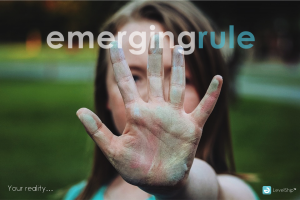 LevelShip by Emerging Rule