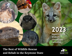 20234 Wildlife Calendar Cover