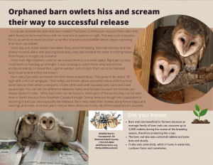 Carbon County Environmental Education Center Flying Squirrels