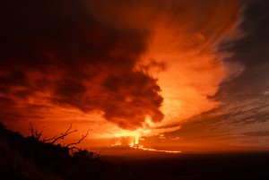 KONA COFFEE FEDERATION Launches Mauna Loa Volcano Roasted Coffee