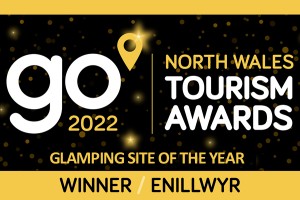 Go award