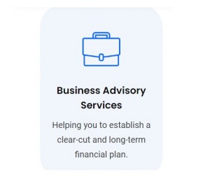 Business Advisory Services