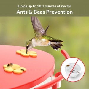 Netvue Birdfy Hummee - Ants & Bees prevention